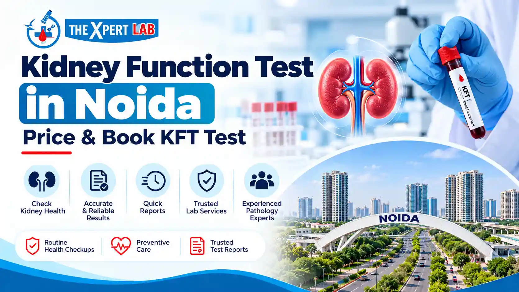 Kidney Function Test in Noida – Price & Book KFT Test